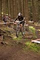 downhill_am_inselsberg_13-08-2011_zeitlauf_090