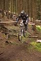 downhill_am_inselsberg_13-08-2011_zeitlauf_091