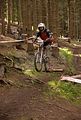 downhill_am_inselsberg_13-08-2011_zeitlauf_093