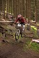 downhill_am_inselsberg_13-08-2011_zeitlauf_099