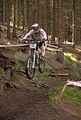 downhill_am_inselsberg_13-08-2011_zeitlauf_105