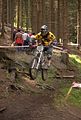 downhill_am_inselsberg_13-08-2011_zeitlauf_107
