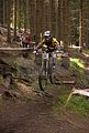 downhill_am_inselsberg_13-08-2011_zeitlauf_109