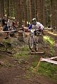 downhill_am_inselsberg_13-08-2011_zeitlauf_124