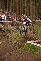 downhill_am_inselsberg_13-08-2011_zeitlauf_139