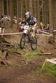downhill_am_inselsberg_13-08-2011_zeitlauf_140
