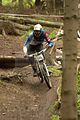 downhill_am_inselsberg_13-08-2011_zeitlauf_156