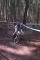 downhill_am_inselsberg_13-08-2011_training_001