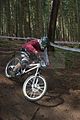 downhill_am_inselsberg_13-08-2011_training_011