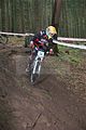 downhill_am_inselsberg_13-08-2011_training_098