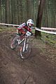 downhill_am_inselsberg_13-08-2011_training_106
