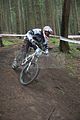 downhill_am_inselsberg_13-08-2011_training_141