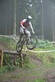 downhill_am_inselsberg_14-08-2011_zeitlauf_130