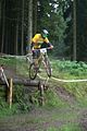 downhill_am_inselsberg_14-08-2011_zeitlauf_134