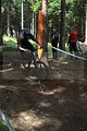 ixs_rookies_cup_steinach_06-08-2011_0103