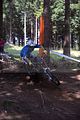 ixs_rookies_cup_steinach_06-08-2011_0255