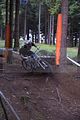 ixs_rookies_cup_steinach_06-08-2011_0480