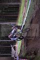 ixs_rookies_cup_steinach_06-08-2011_0635