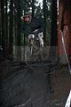 ixs_rookies_cup_steinach_07-08-2011_training_0087