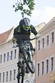 mcd_2013_101