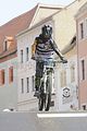 mcd_2013_115