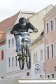 mcd_2013_251
