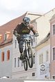 mcd_2013_255