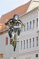 mcd_2013_350