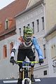 mcd_2013_368