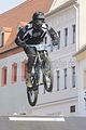 mcd_2013_445