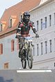 mcd_2013_461