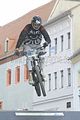 mcd_2013_501