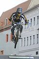 mcd_2013_529