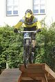 mcd_2013_2_145