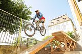 mcd_2013_2_167