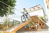 mcd_2013_2_185