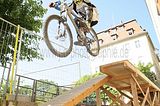mcd_2013_2_193