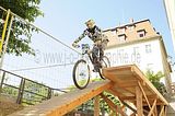 mcd_2013_2_209