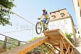 mcd_2013_2_274