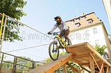 mcd_2013_2_293