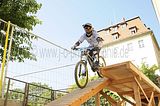 mcd_2013_2_294