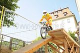mcd_2013_2_308
