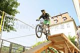 mcd_2013_2_310