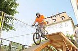 mcd_2013_2_311