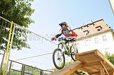 mcd_2013_2_312
