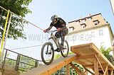 mcd_2013_2_313