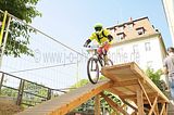 mcd_2013_2_314