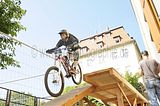 mcd_2013_2_317