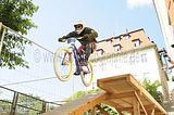 mcd_2013_2_344