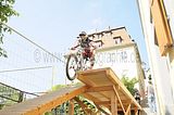 mcd_2013_2_365